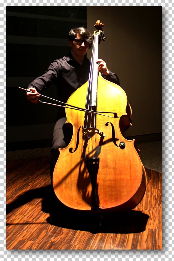 Bass Violin Double Bass Violone Viola Octobass PNG, Clipart, Bass, Bass Violin, Bowed String Instrument, Cellist, Cello Free PNG Download