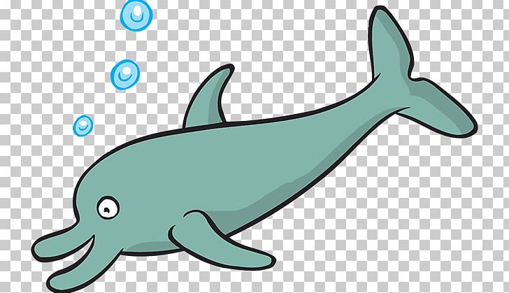Common Bottlenose Dolphin Tucuxi Rough-toothed Dolphin PNG, Clipart, Animal, Animal Figure, Artwork, Biology, Bottlenose Dolphin Free PNG Download