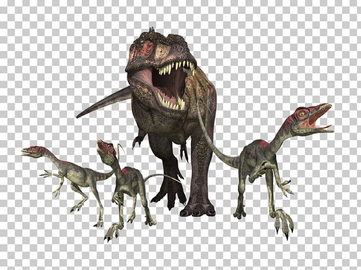 Tyrannosaurus Velociraptor Gallimimus Albertosaurus Dinosaur PNG, Clipart, Albertosaurus, Animal Figure, Coelurosauria, Dinosaur, Dinosaurs Free PNG Download
