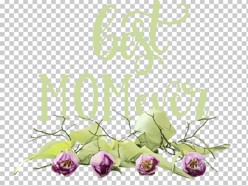Floral Design PNG, Clipart, Best Mom Ever, Cut Flowers, Flora, Floral Design, Flower Free PNG Download