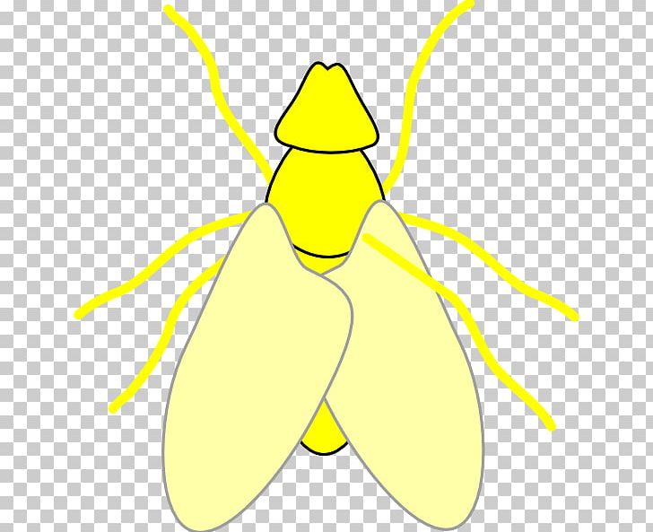 Fly Insect PNG, Clipart, Angle, Area, Artwork, Beak, Bugcatching Kid Free PNG Download