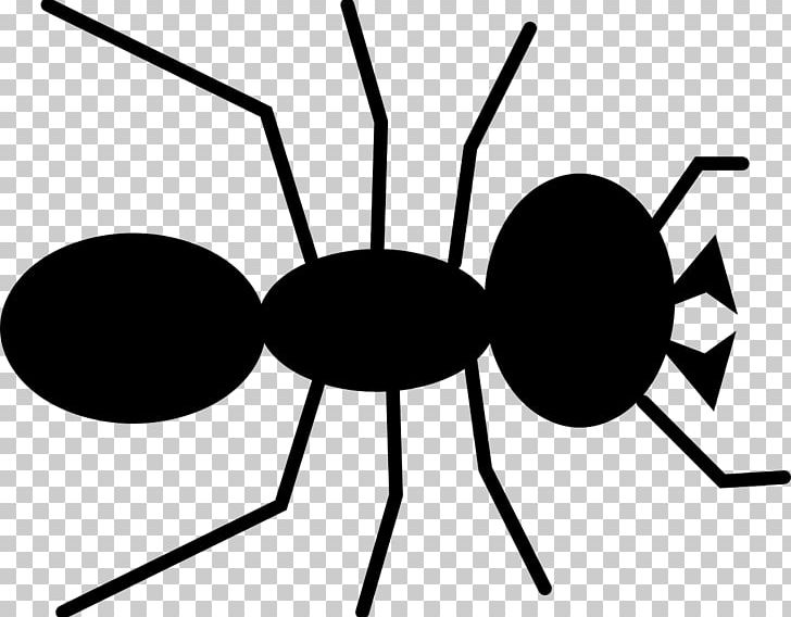 Queen Ant PNG, Clipart, Ant, Antenna, Artwork, Black And White, Black Garden Ant Free PNG Download