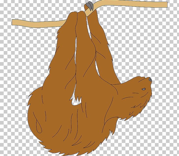 Sloth Free Content PNG, Clipart, Arm, Art, Blog, Carnivoran, Computer Free PNG Download