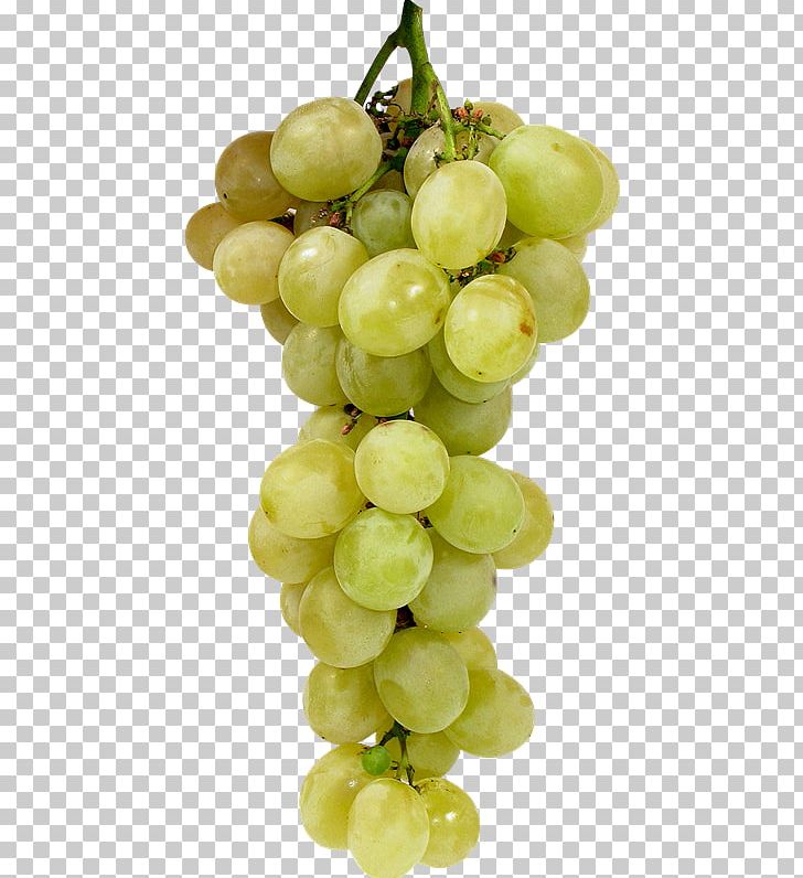 Sultana Kyoho Grape Wine Seedless Fruit PNG, Clipart, Common Grape Vine, Food, Fruit, Fruit Nut, Grape Free PNG Download