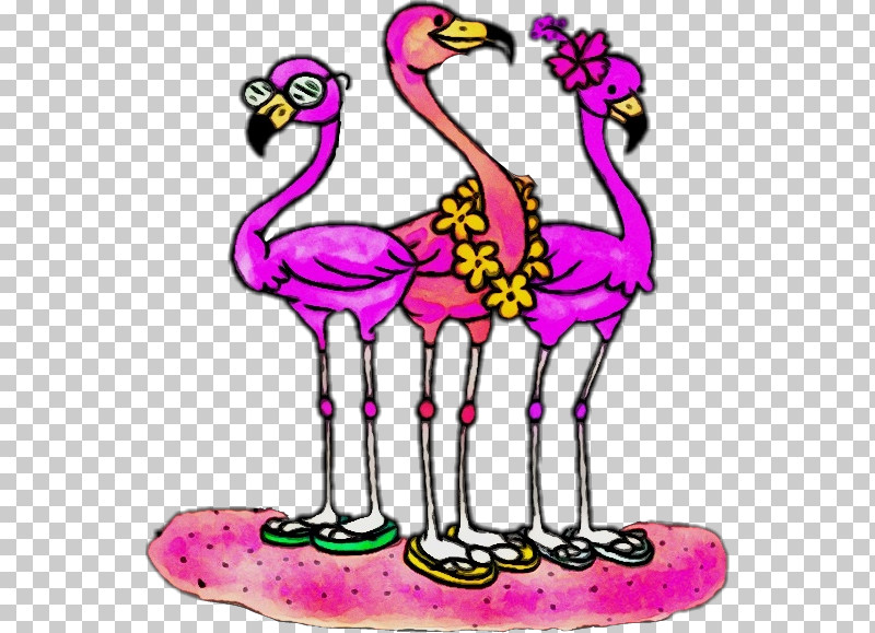 Beak Birds Water Bird Pink M Biology PNG, Clipart, Beak, Biology, Birds, Paint, Pink M Free PNG Download