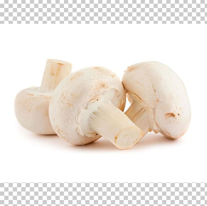 Common Mushroom Edible Mushroom Food Grocery Store PNG, Clipart, Agaricaceae, Agaricomycetes, Agaricus, Agaricus Arvensis, Champignon Free PNG Download