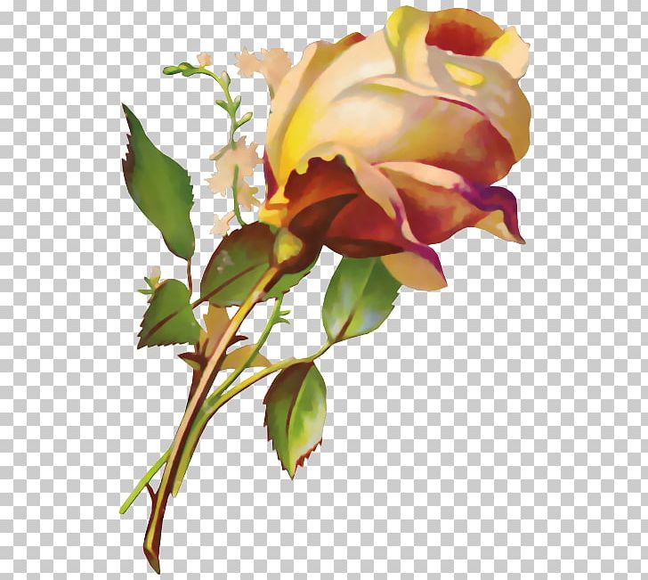 Flower Decoupage Desktop PNG, Clipart, Bud, Cut Flowers, Decoupage, Desktop Wallpaper, Diary Free PNG Download