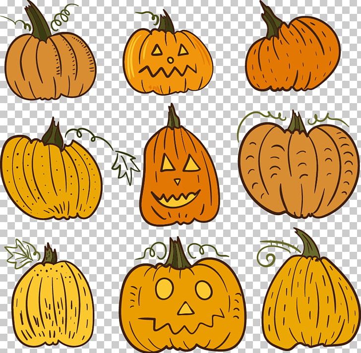 Painted Pumpkin PNG, Clipart, Calabaza, Cartoon, Cartoon Pumpkin, Clip Art, Commodity Free PNG Download