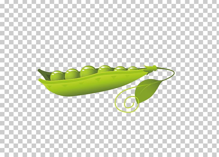 Pea Euclidean PNG, Clipart, Butterfly Pea, Butterfly Pea Flower, Cartoon Peas, Download, Drawing Free PNG Download