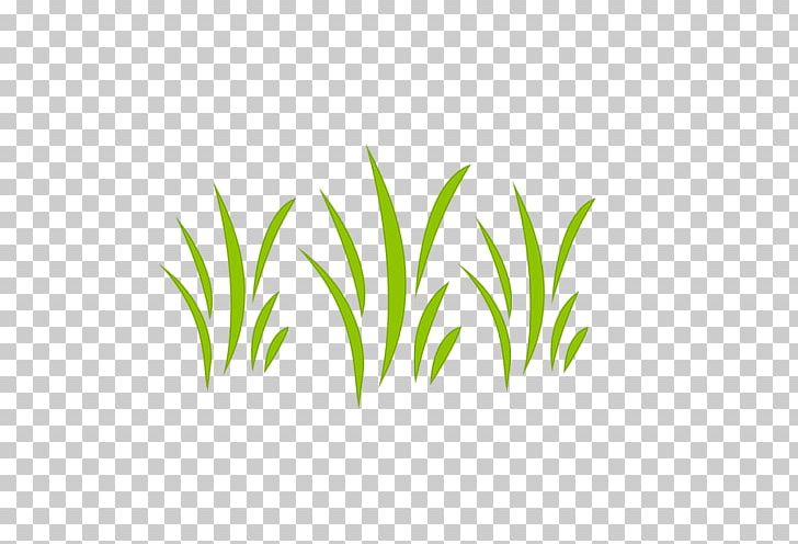 Stencil Numerical Digit Plant Stem PNG, Clipart, Aquarium Decor, Commodity, Glade, Grass, Grass Family Free PNG Download