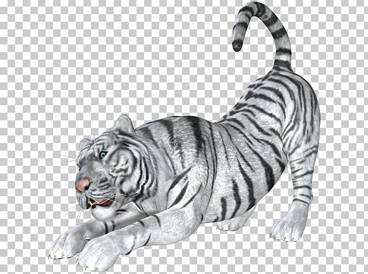 Bengal Tiger Cat Lion White Tiger PNG, Clipart, Animal, Animal Figure, Animals, Bengal Tiger, Big Cat Free PNG Download