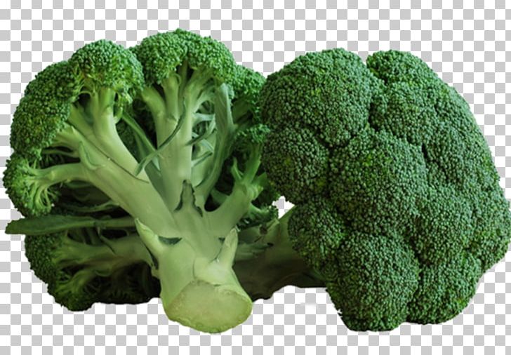 Broccoli Broccoflower Vegetable Food Vegetarian Cuisine PNG, Clipart, Broccoflower, Broccoli, Brocoli, Brussels Sprout, Cabbage Free PNG Download