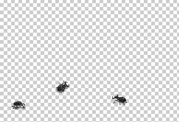 Insect Desktop Pollinator Computer Font PNG, Clipart, Animals, Beetles, Black, Black And White, Black M Free PNG Download