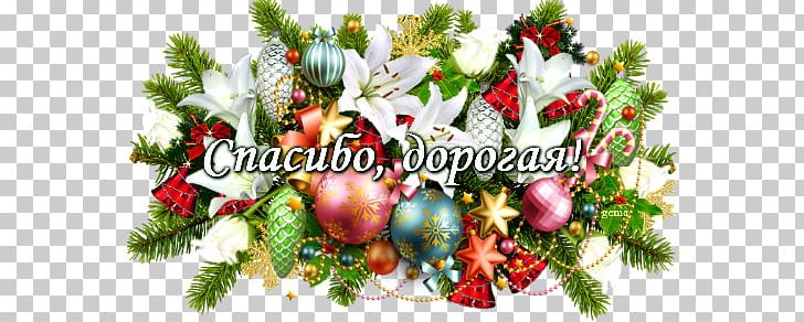 Old New Year Holiday Gift Birthday PNG, Clipart, Birthday, Christmas, Christmas Decoration, Christmas Ornament, Conifer Free PNG Download
