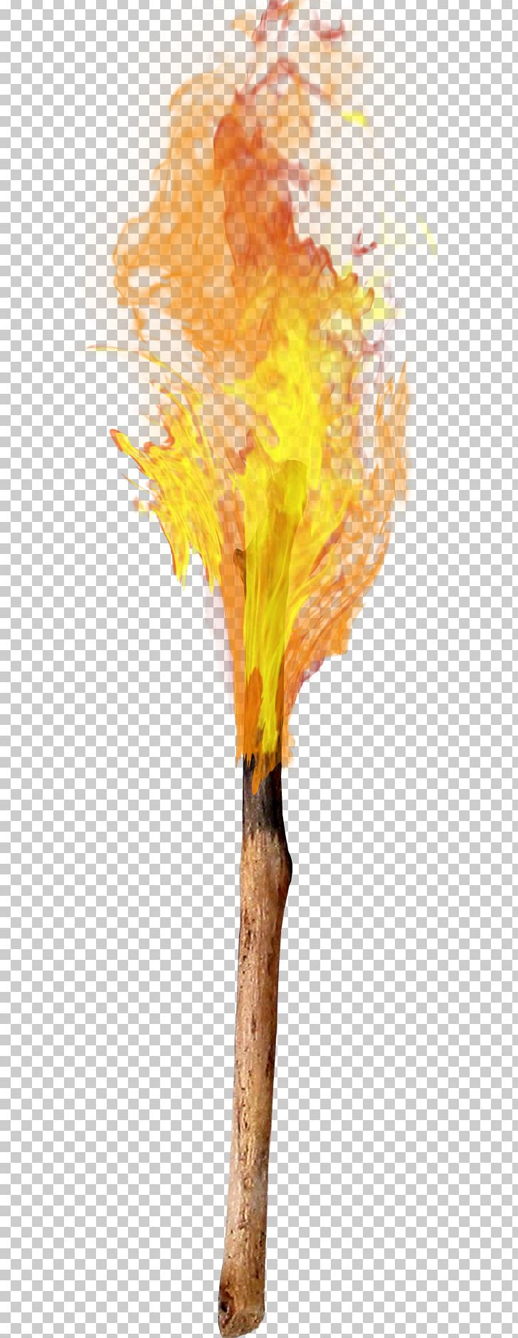 Torch Flame Combustion PNG, Clipart, Art, Combustion, Computer Graphics, Computer Icons, Download Free PNG Download