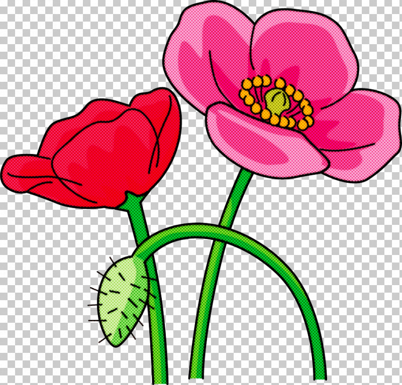 Red Poppy Flower Poppy Flower PNG, Clipart, Bud, Cut Flowers, Floral Design, Flower, Flower Bouquet Free PNG Download