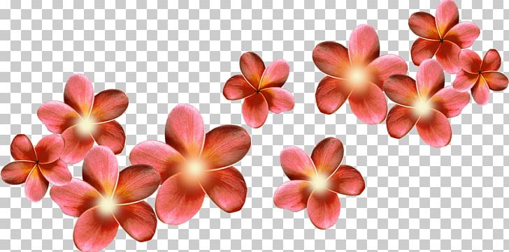 Flower Desktop PNG, Clipart, Cut Flowers, Desktop Wallpaper, Digital Image, Display Resolution, Flower Free PNG Download