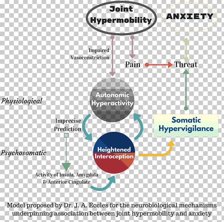 Hypermobility Joint Symptom Anxiety Disorder PNG, Clipart, Amygdala, Anxiety, Anxiety Disorder, Area, Chart Free PNG Download