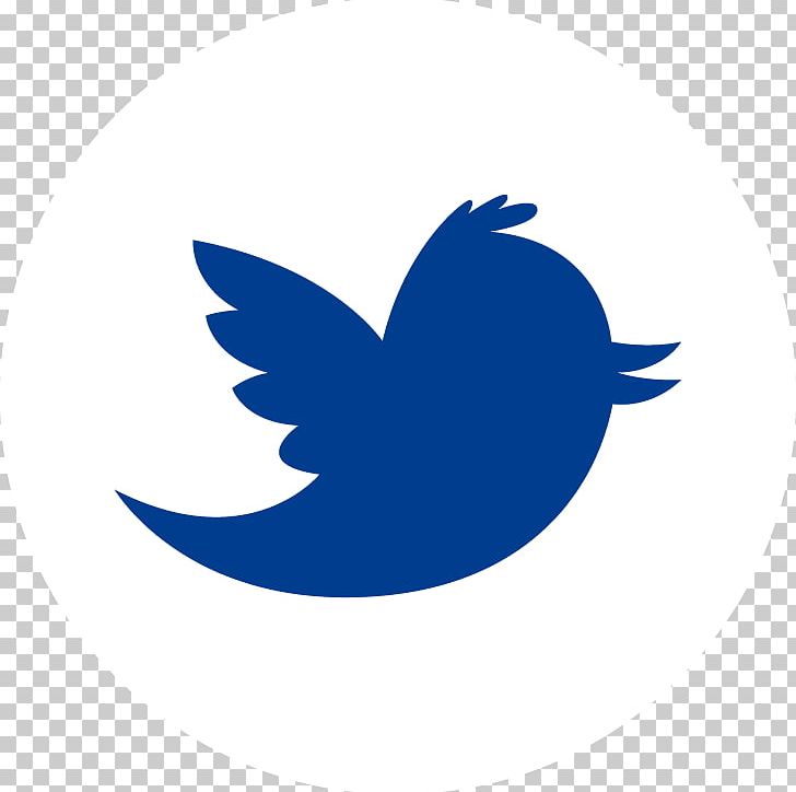 Logo Symbol Graphic Design Graphics PNG, Clipart, Beak, Bird, Brand, Computer Wallpaper, Corporate Identity Free PNG Download