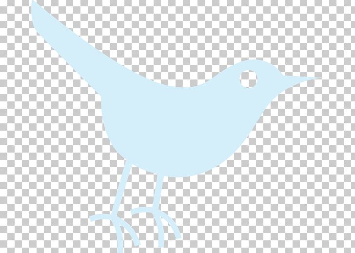 Paper Beak Illustration PNG, Clipart, Beak, Bird, Blue, Line, Paper Free PNG Download