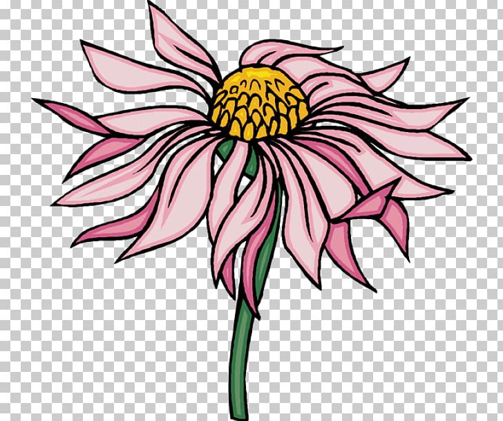 Drawing PNG, Clipart, Animation, Artwork, Coneflower, Cut Flowers, Dahlia Free PNG Download