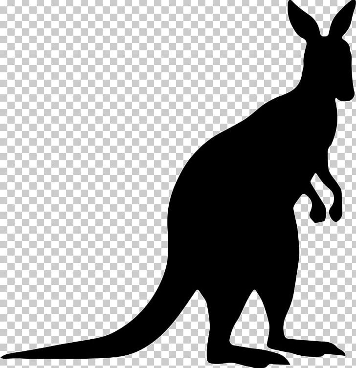 Kangaroo Silhouette Macropodidae PNG, Clipart, Animals, Black And White, Boxing Kangaroo, Drawing, Fauna Free PNG Download