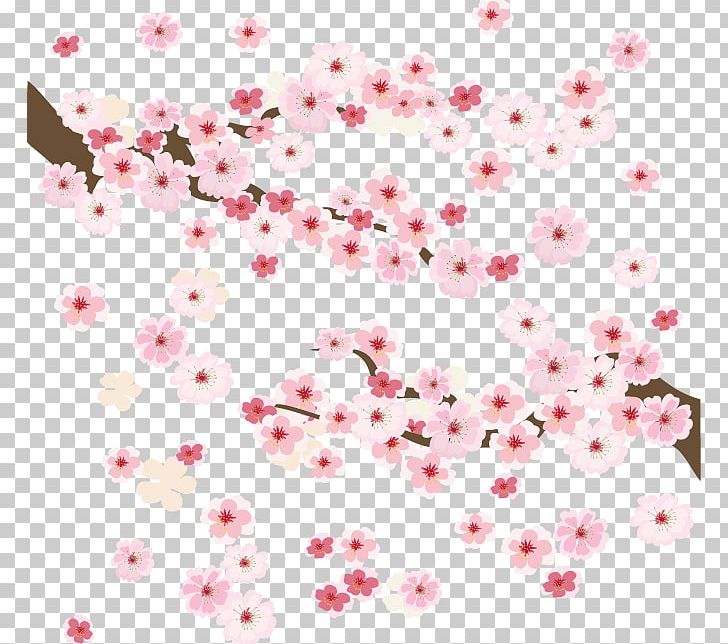Cherry Blossom PNG, Clipart, Bea, Beautiful, Beautiful Vector, Beauty Salon, Blossom Free PNG Download