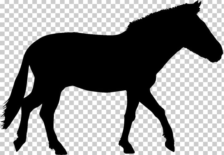 Mustang Stallion Foal Pony Mule PNG, Clipart, Bridle, Colt, Donkey, Equestrian, Fauna Free PNG Download