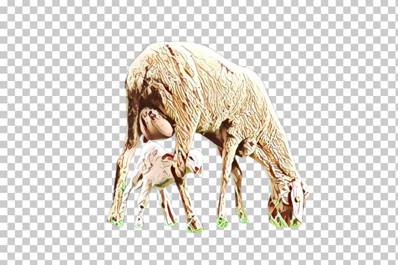 Sheep Sheep Wildlife Cow-goat Family PNG, Clipart, Cowgoat Family, Sheep, Wildlife Free PNG Download