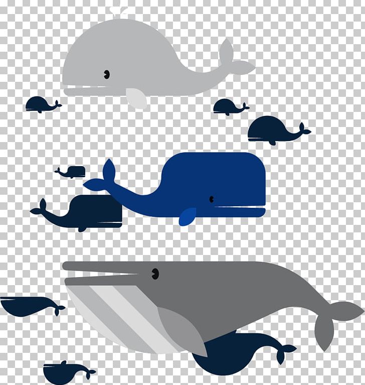 22 Beluga Whale Wallpapers  WallpaperSafari