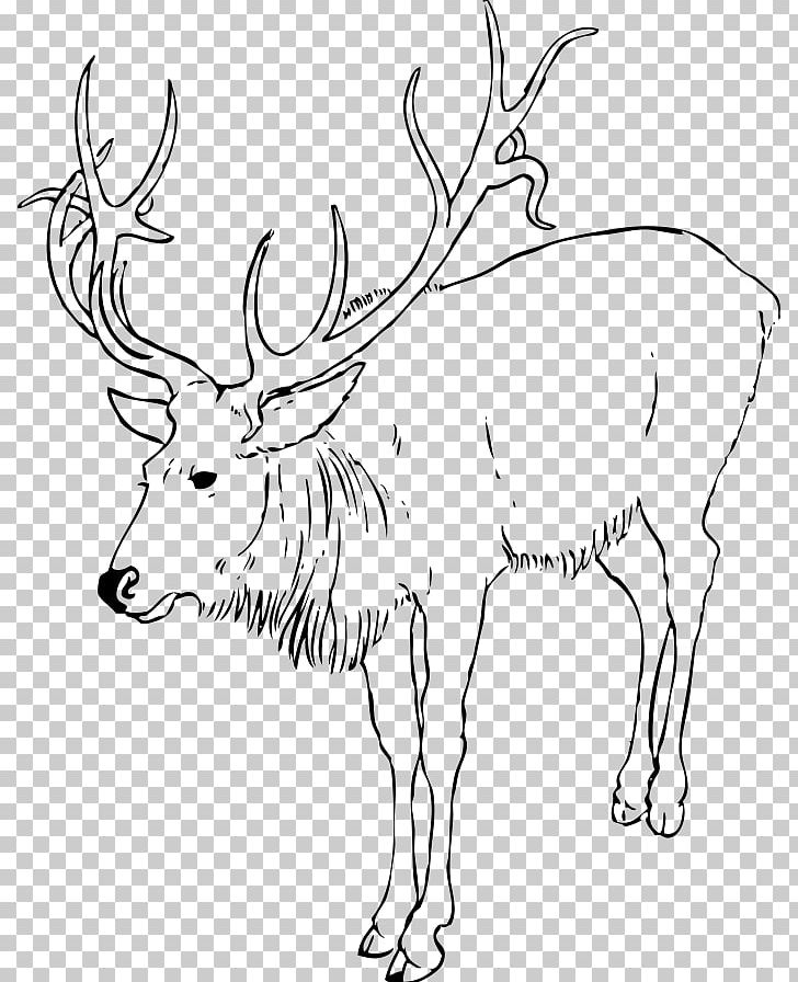 Reindeer White-tailed Deer Coloring Book Child PNG, Clipart, Animal Figure, Antler, Black And White, Cartoon, Child Free PNG Download