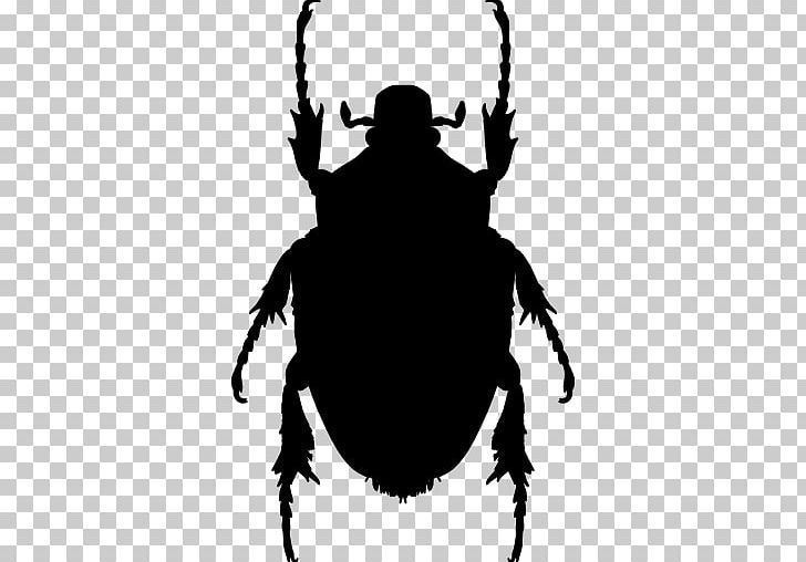 Beetle Mosquito Pest Ladybird PNG, Clipart, Animals, Arthropod, Asian Lady Beetle, Beetle, Black And White Free PNG Download