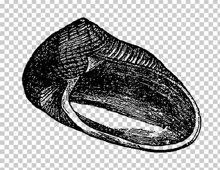Digital Stamp Mussel Seashell PNG, Clipart, Animal, Black And White, Digital Stamp, Laundry, Laundry Room Free PNG Download