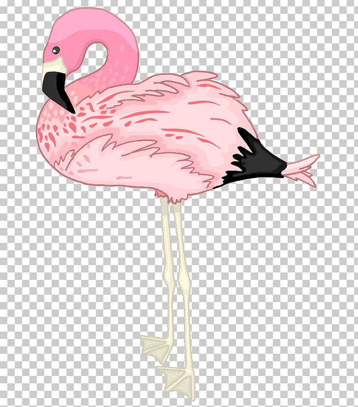 Flamingo Drawing PNG, Clipart, Andean Flamingo, Animals, Beak, Bird, Black And White Free PNG Download