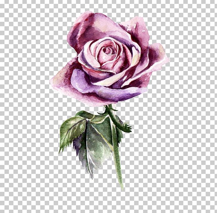 Garden Roses Watercolor Painting Watercolour Flowers Photography PNG, Clipart, Art, Artificial Flower, Cut Flowers, Floral Design, Flower Free PNG Download