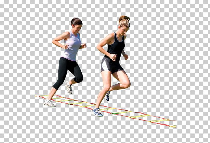 Running M Calf Physical Fitness Hip Knee PNG, Clipart, Abdomen, Agility, Arm, Balance, Calf Free PNG Download