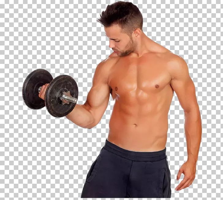 Weight Training Exercise Physical Fitness Weight Loss Olympic Weightlifting PNG, Clipart, Abdomen, Arm, Bodybuilder, Boxing Glove, Exercise Free PNG Download