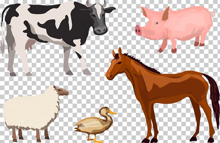 Cattle Sheep Livestock Farm PNG, Clipart, Animal, Animals, Bull, Cattle Like Mammal, Cow Goat Family Free PNG Download
