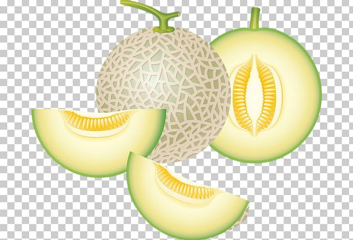 Honeydew Cantaloupe Melon PNG, Clipart, Cantaloupe, Commodity, Computer, Cucumber Gourd And Melon Family, Cucumis Free PNG Download
