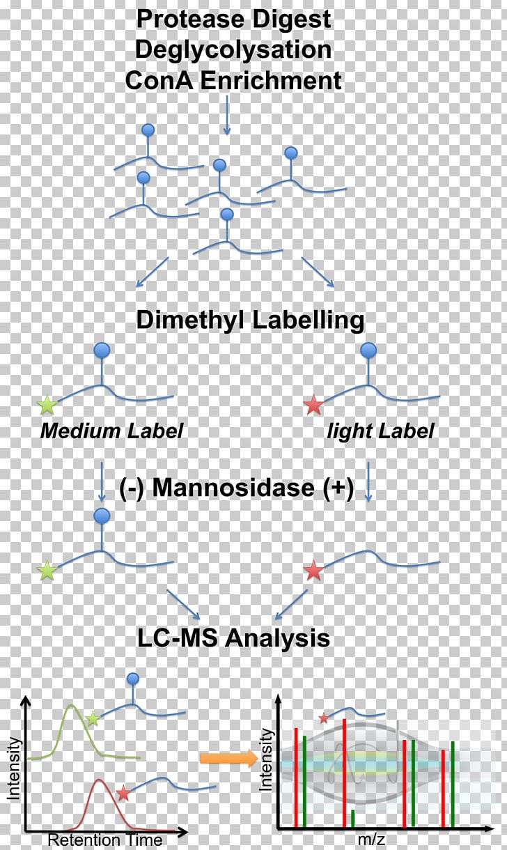 Line Point Angle Diagram PNG, Clipart, Angle, Area, Art, Diagram, Line Free PNG Download