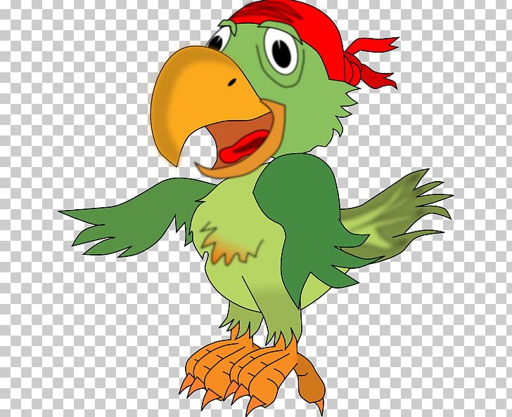 Pirate Parrot Piracy Free Content PNG, Clipart, Art, Beak, Bird, Cartoon, Chicken Free PNG Download