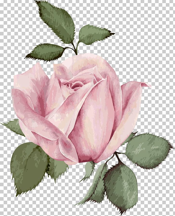 Wedding Invitation Flower Rose PNG, Clipart, Floribunda, Flower, Flowering Plant, Flowers, Flower Vector Free PNG Download