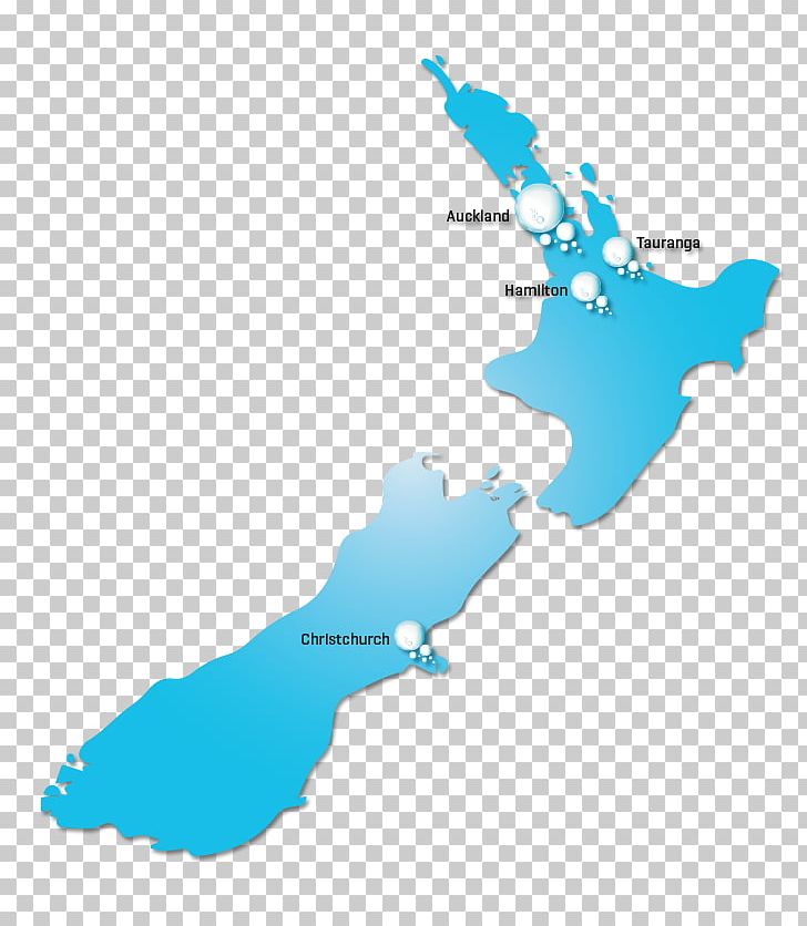 Auckland Law Immigration New Zealand Palmerston North Business PNG, Clipart, Area, Auckland, Business, Common Law, Immigration New Zealand Free PNG Download