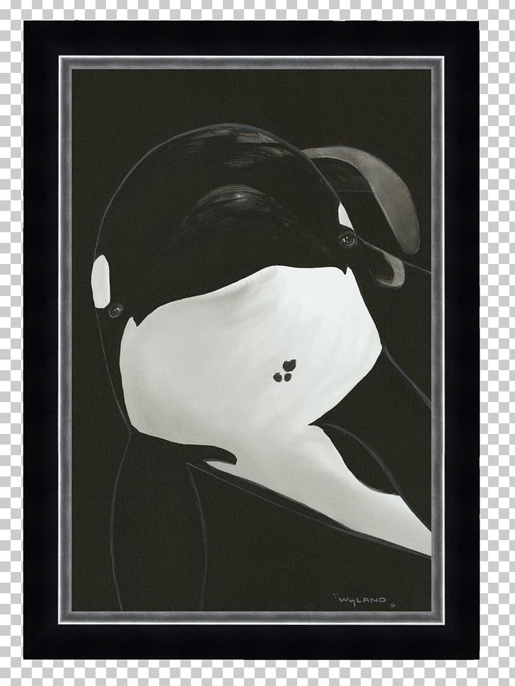 Killing Keiko: The True Story Of Free Willy's Return To The Wild Reino Aventura Killer Whale PNG, Clipart,  Free PNG Download