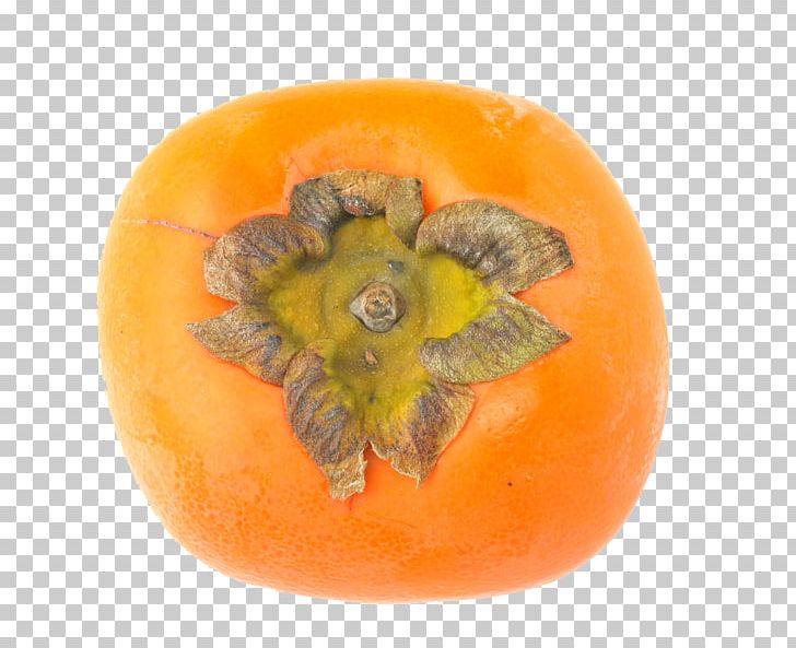 Persimmon Fruit Photography PNG, Clipart, Adobe Illustrator, Calabaza, Encapsulated Postscript, Food, Fruit Nut Free PNG Download