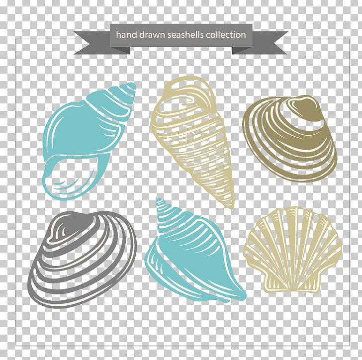 Seashell Computer File PNG, Clipart, Adobe Illustrator, Animals, Euclidean Vector, Happy Birthday Vector Images, Line Free PNG Download
