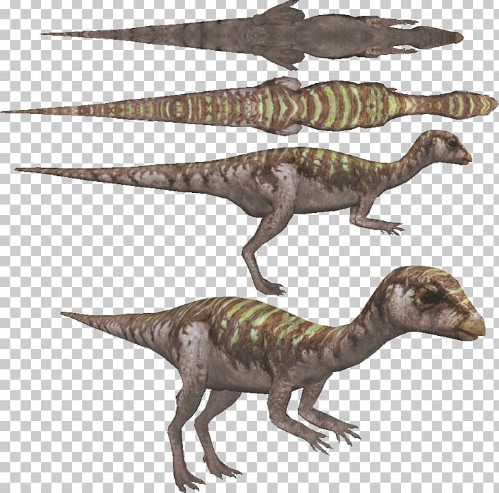 Velociraptor Tyrannosaurus Terrestrial Animal PNG, Clipart, Allosaurus, Animal, Animal Figure, Dinosaur, Dryosaurus Free PNG Download