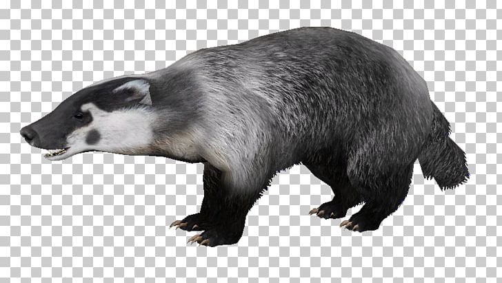 Badger PNG, Clipart, Badger Free PNG Download