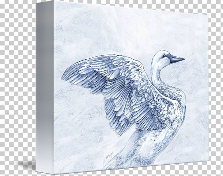 Duck Cygnini Kind Goose Art PNG, Clipart, Animals, Art, Beak, Bird, Canvas Free PNG Download