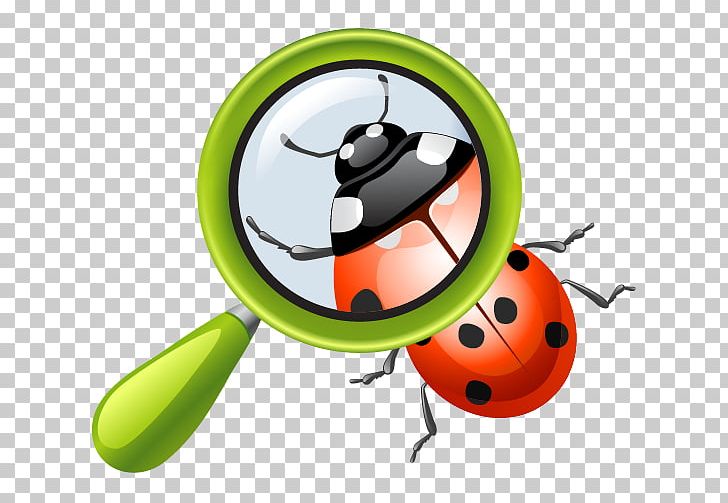 School PNG, Clipart, Beetle, Computer Icons, Education, Education Science, Insect Free PNG Download